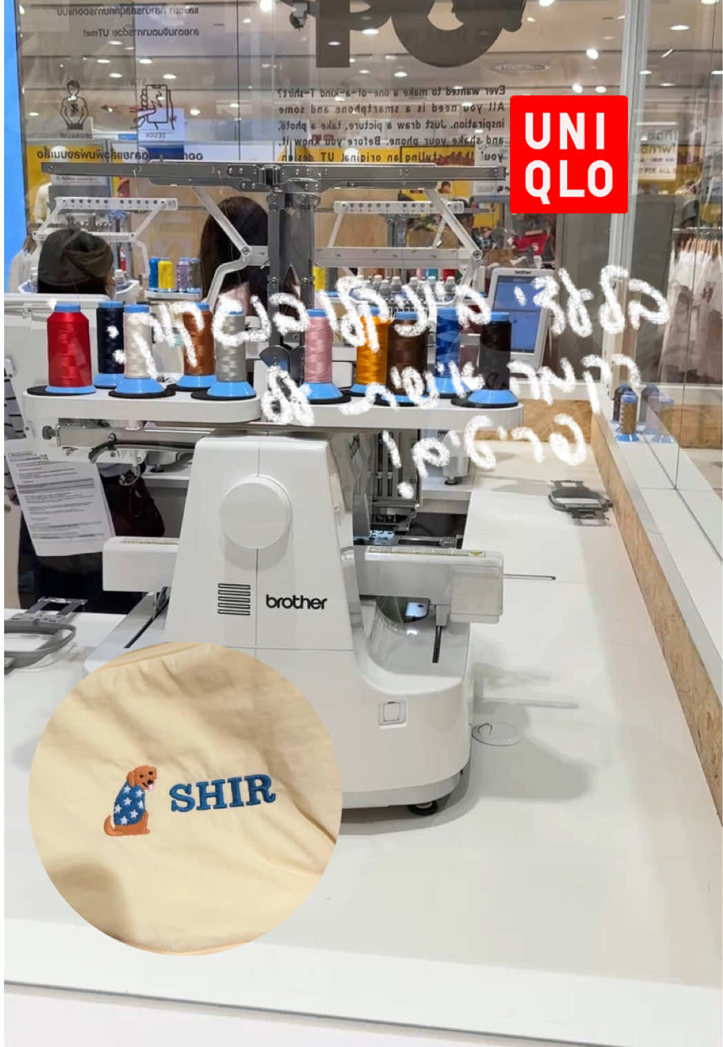 @Shir Shares שיר משתפת