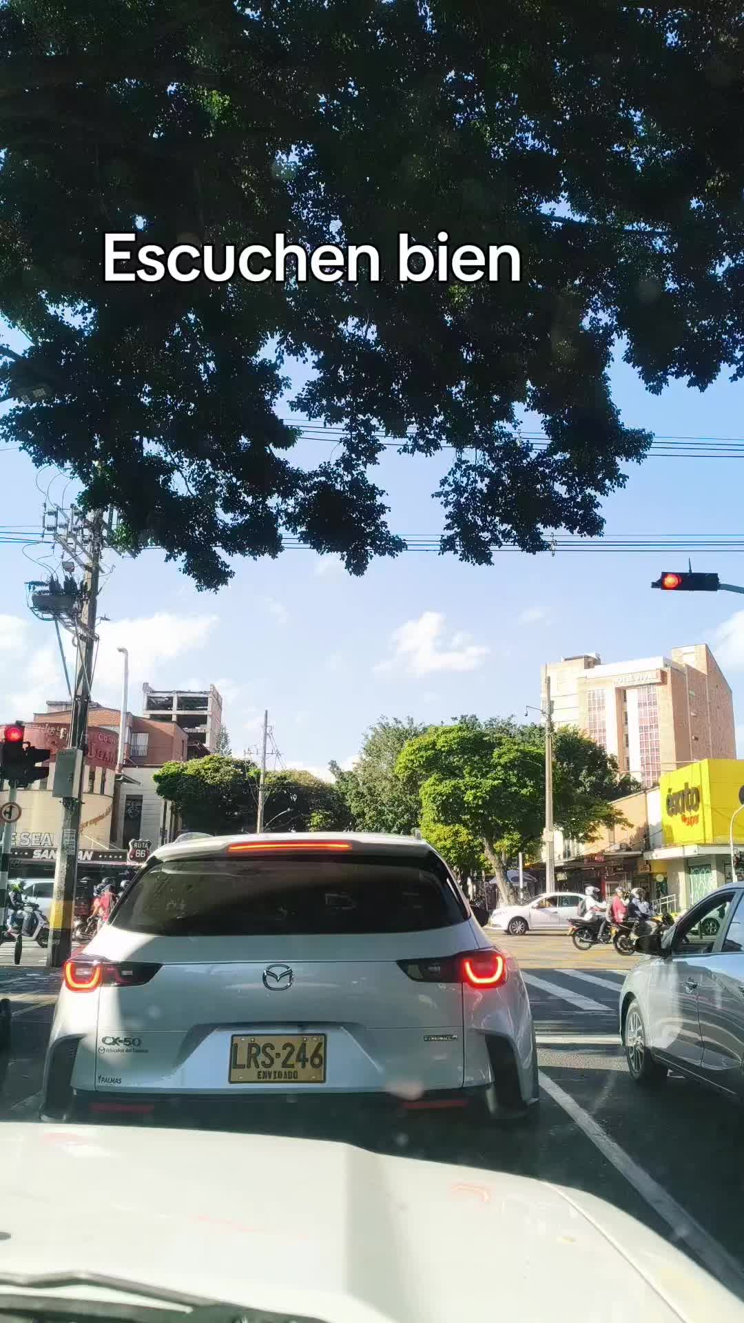 @Luna Kol
