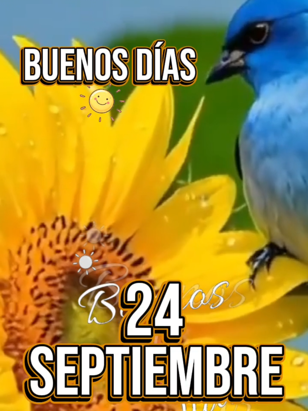@Arely Mendoza Frases bonitas