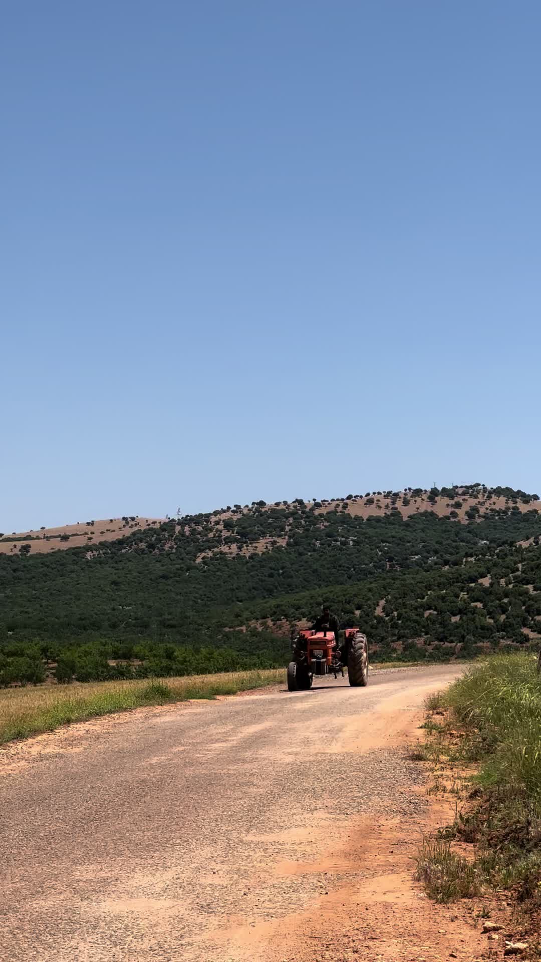 @Iboş Kılınç