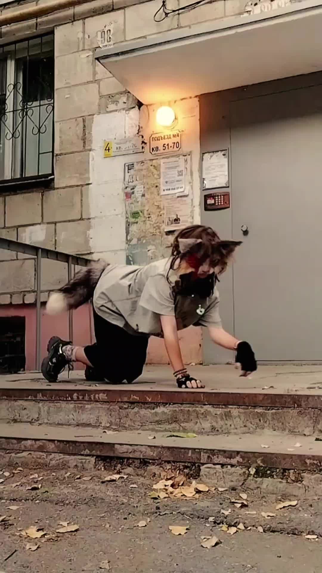 @──[🇩🇪] Dog✦༒Uiller || he/his