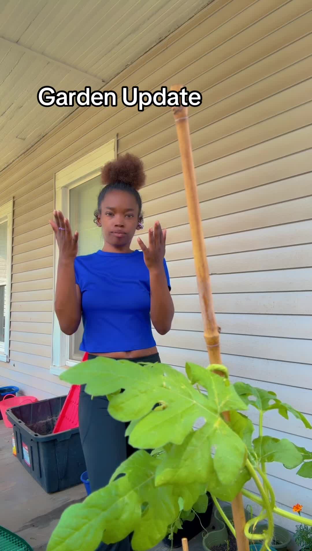 @{WDH 💋} YattaBabe✨