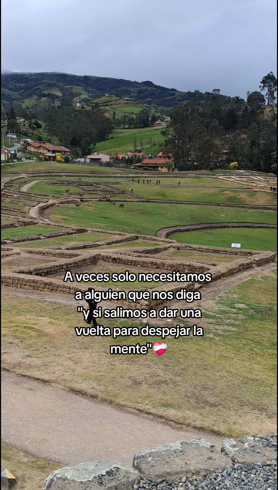 @Sara Remache
