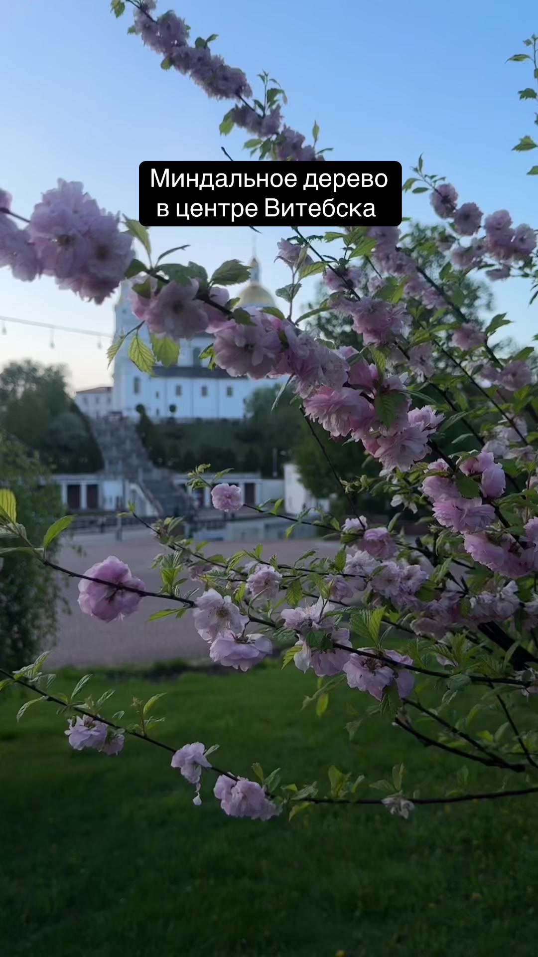 @zatestilvitebsk
