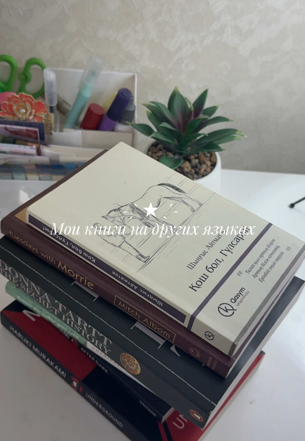 @mika 𖦹 ⋆˚