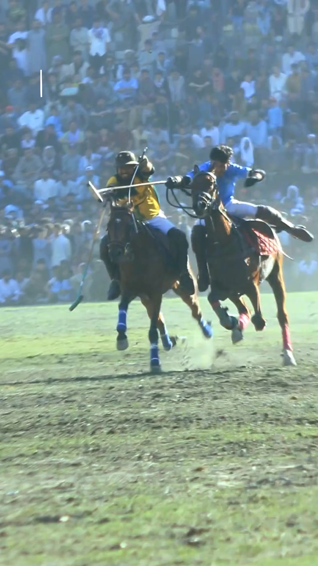 @️POLO ARCHIVE 👀🐴