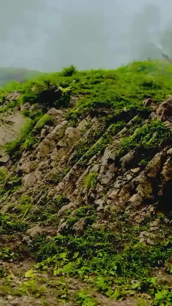 @amjid Bâlôçh