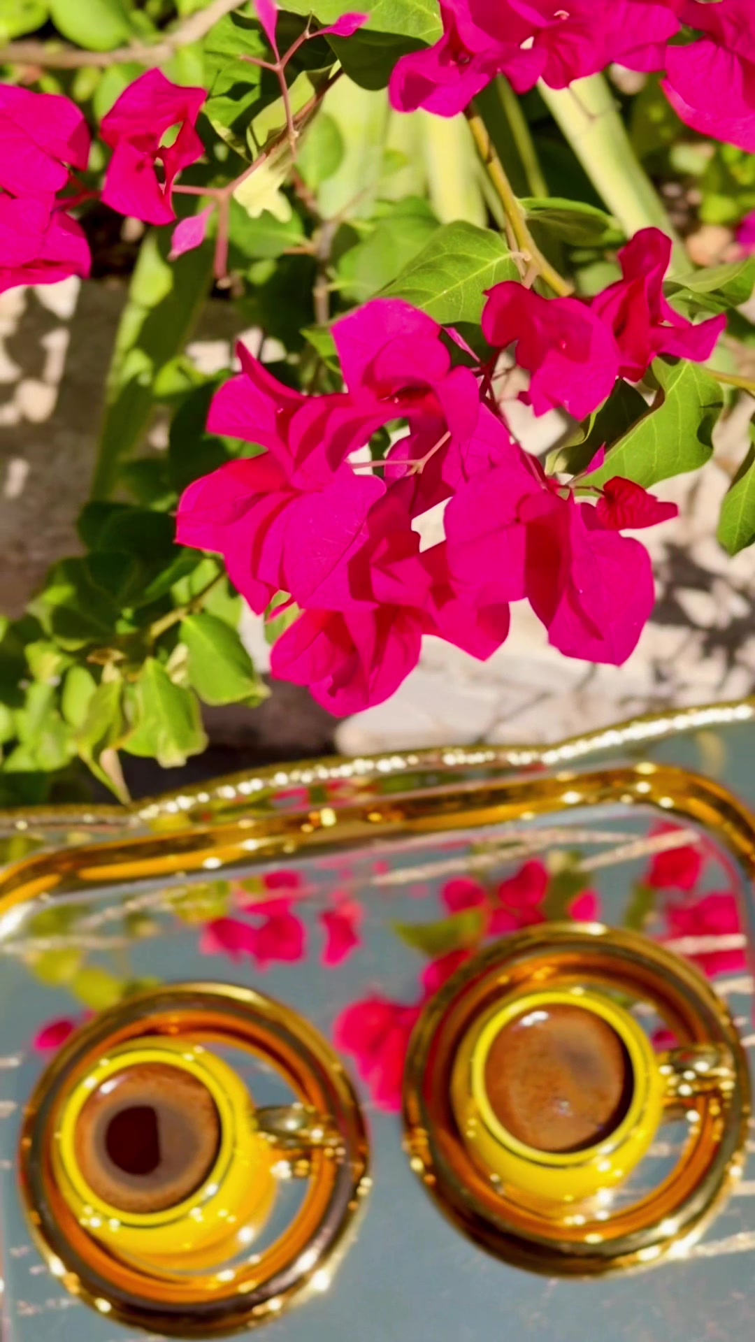 @HayoOsh M Diyab📷  ᥫ᭡