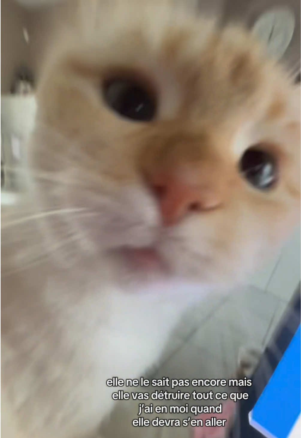 @๐บ๐ฌ๐ฝ๐ฌ๐ต’๐ป