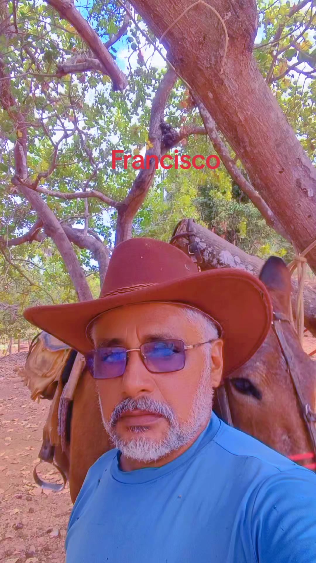 @_FRANCISCO SOARES_