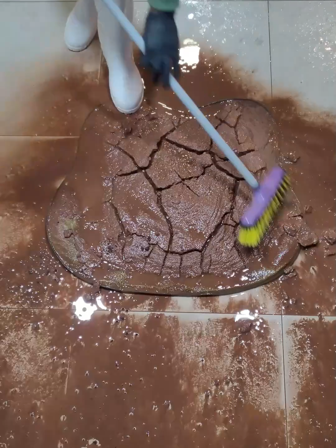 @magnusrugcleaning