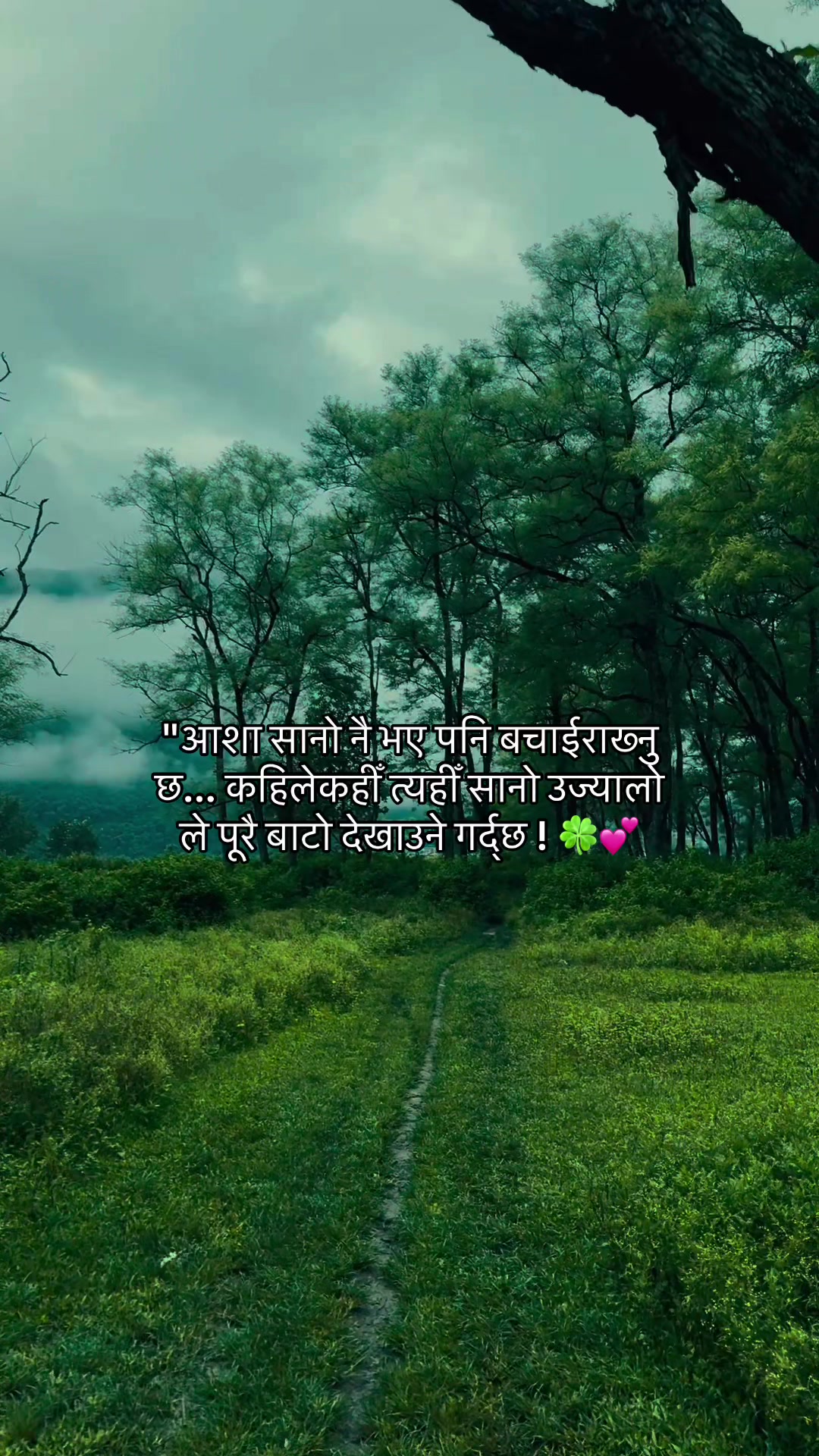 @Ms:Gurungni🫶❤️&zwj;🩹