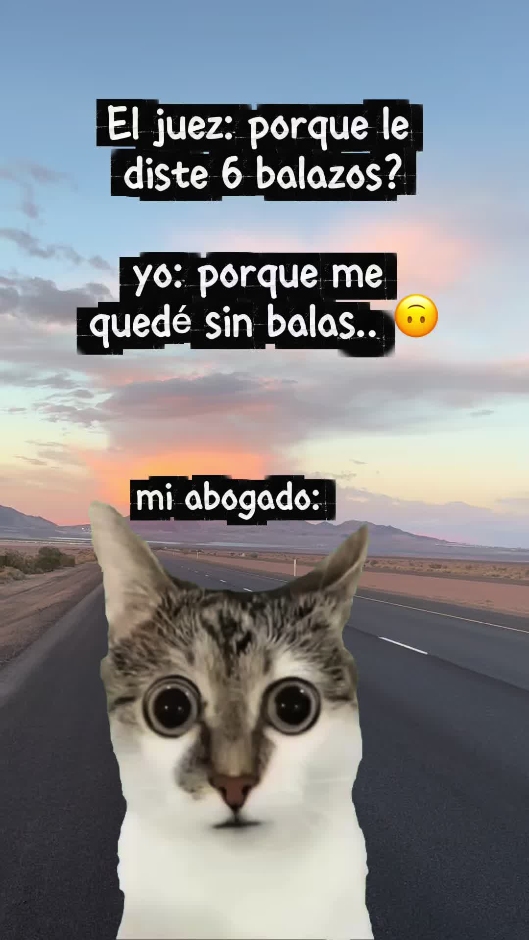 @720ChaparritaDeChihuahua303
