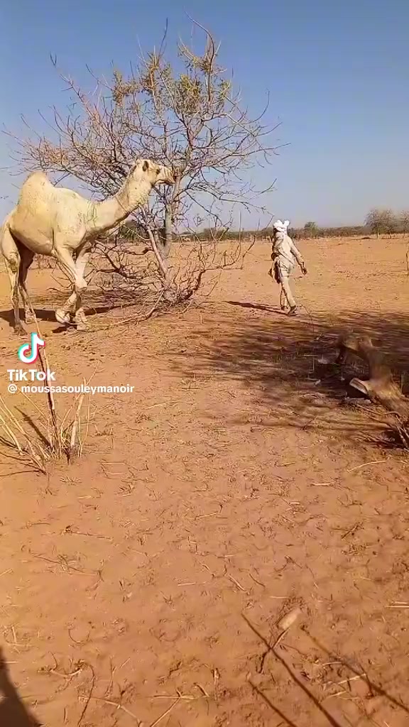 @ABOBKR.  🇸🇦