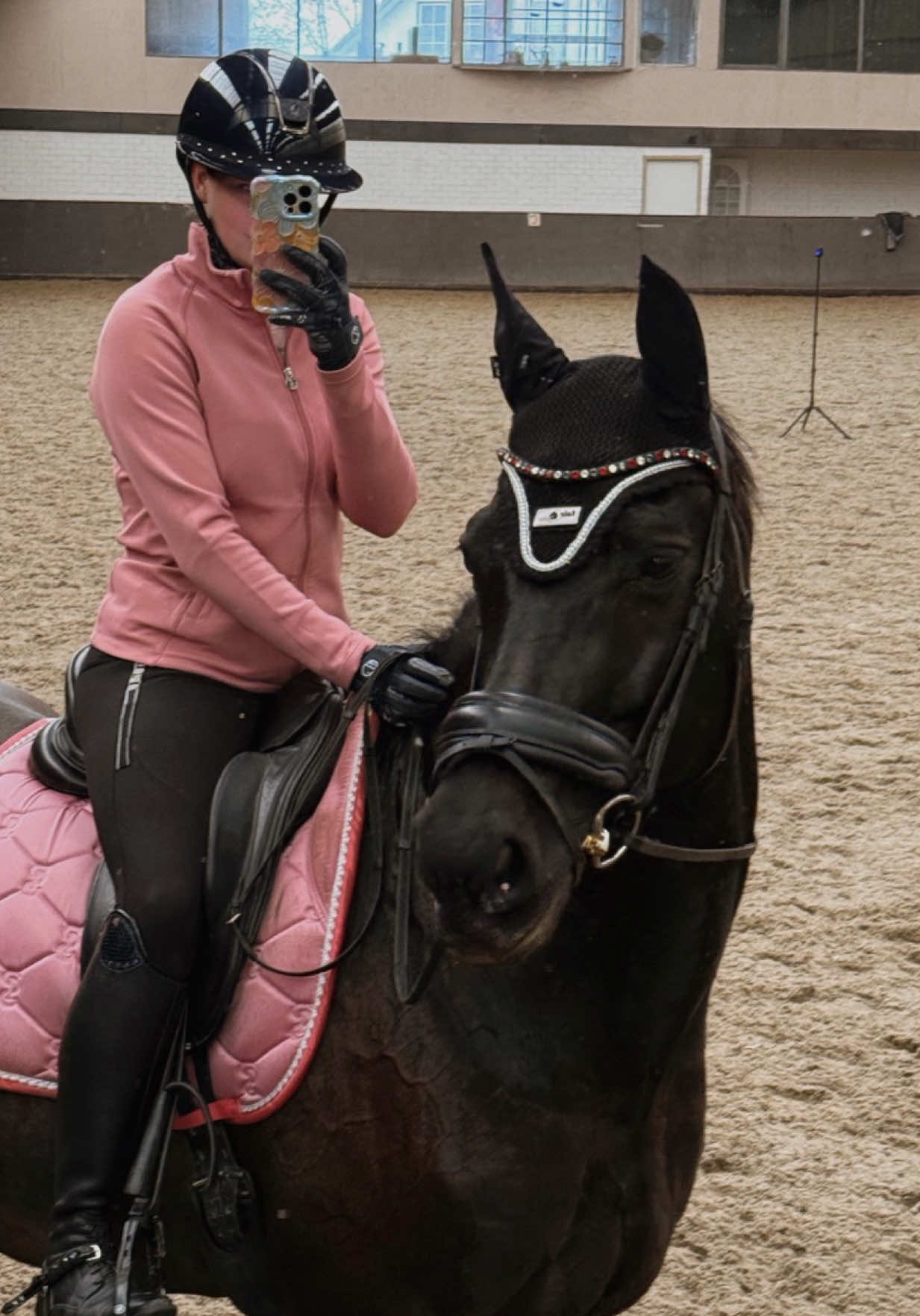 @fmnschothorses
