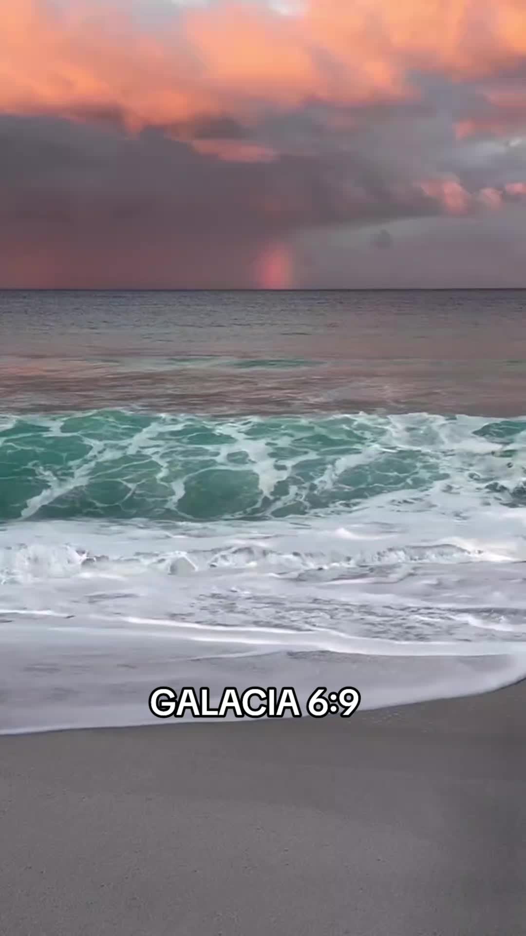 @ᵀˢ✝️𝕄𝕣. 𝔸 🕎☮️