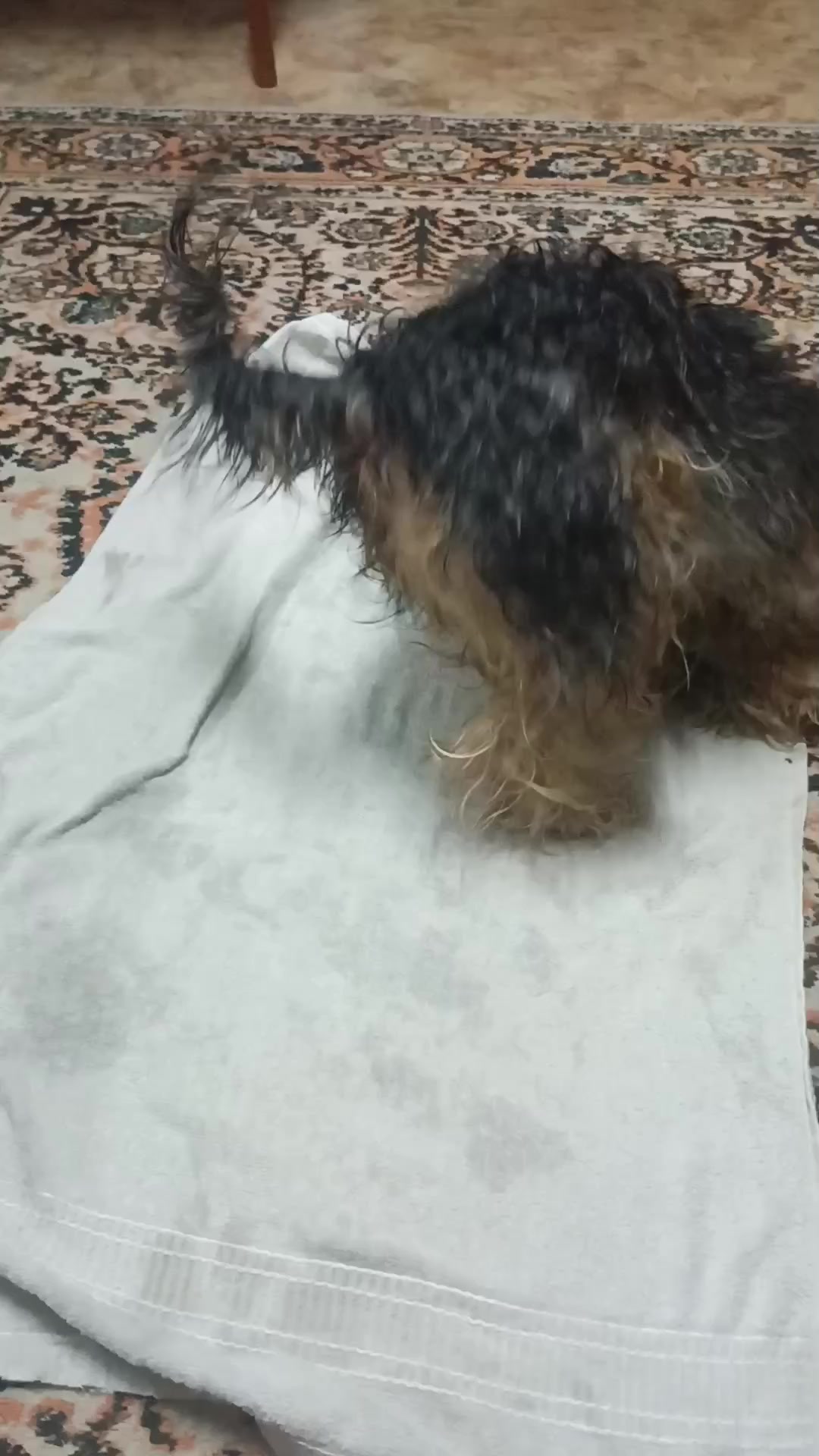 @Любаша