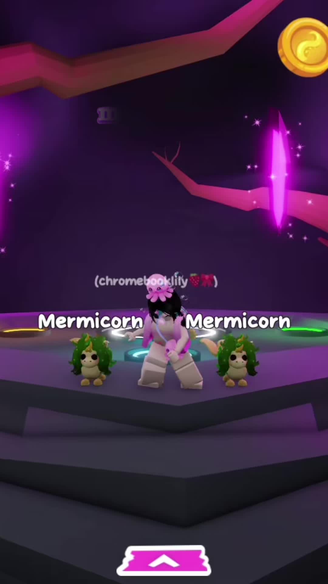 @chromebooklily🦄