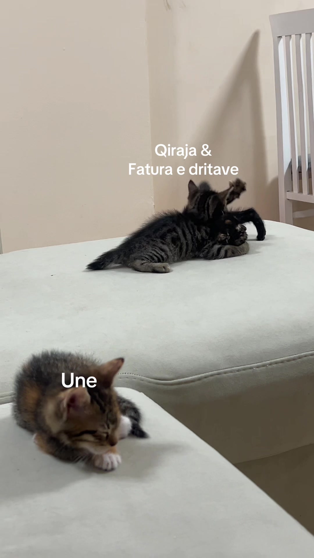 @matchaathecat