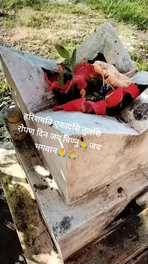 @Rita bhandari