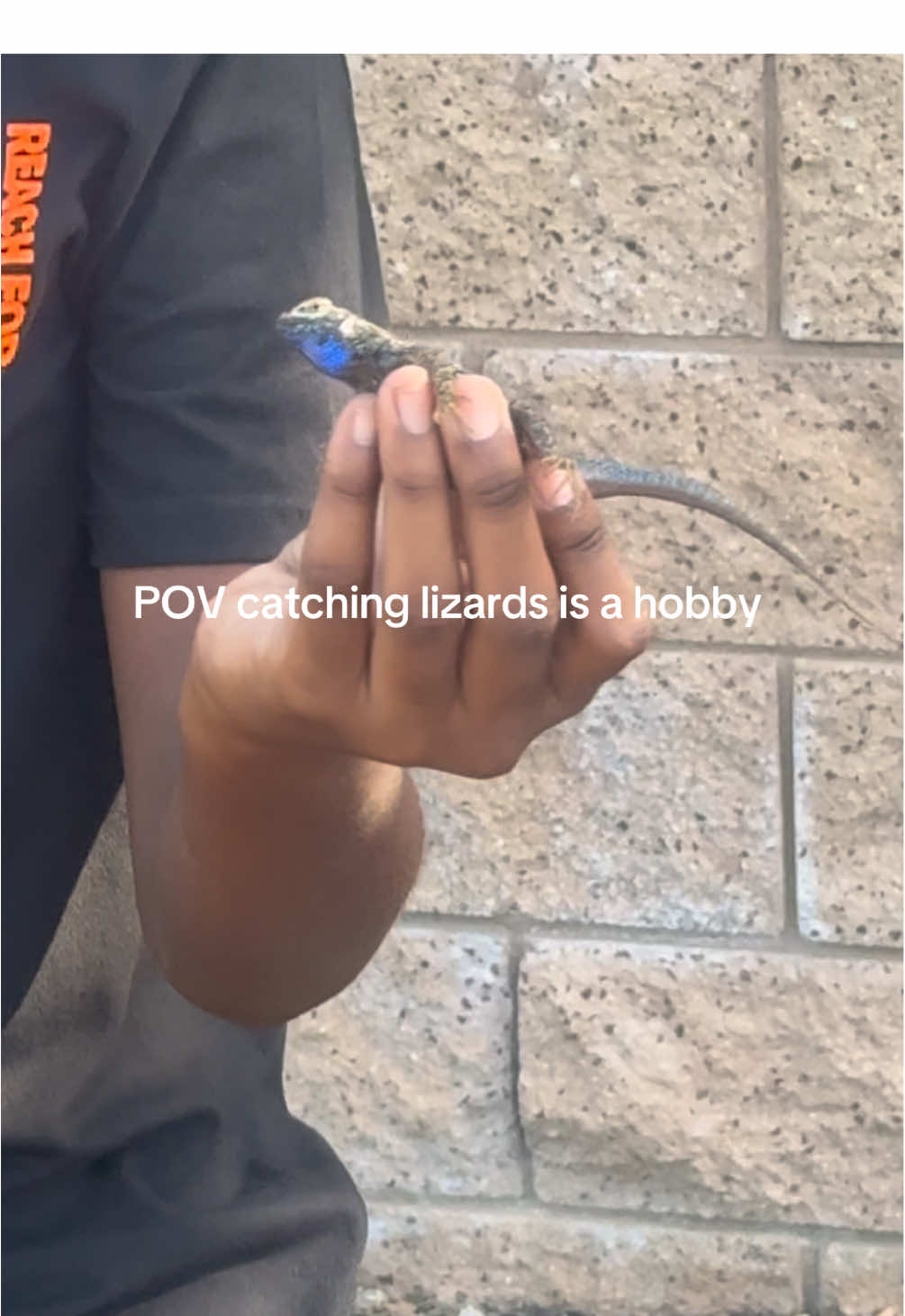 @reptileguyat
