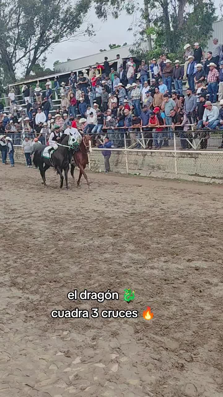 @carriles altos de jalisco🐎