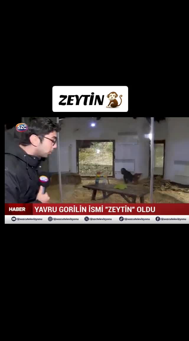 @kartal_______🦅🦅
