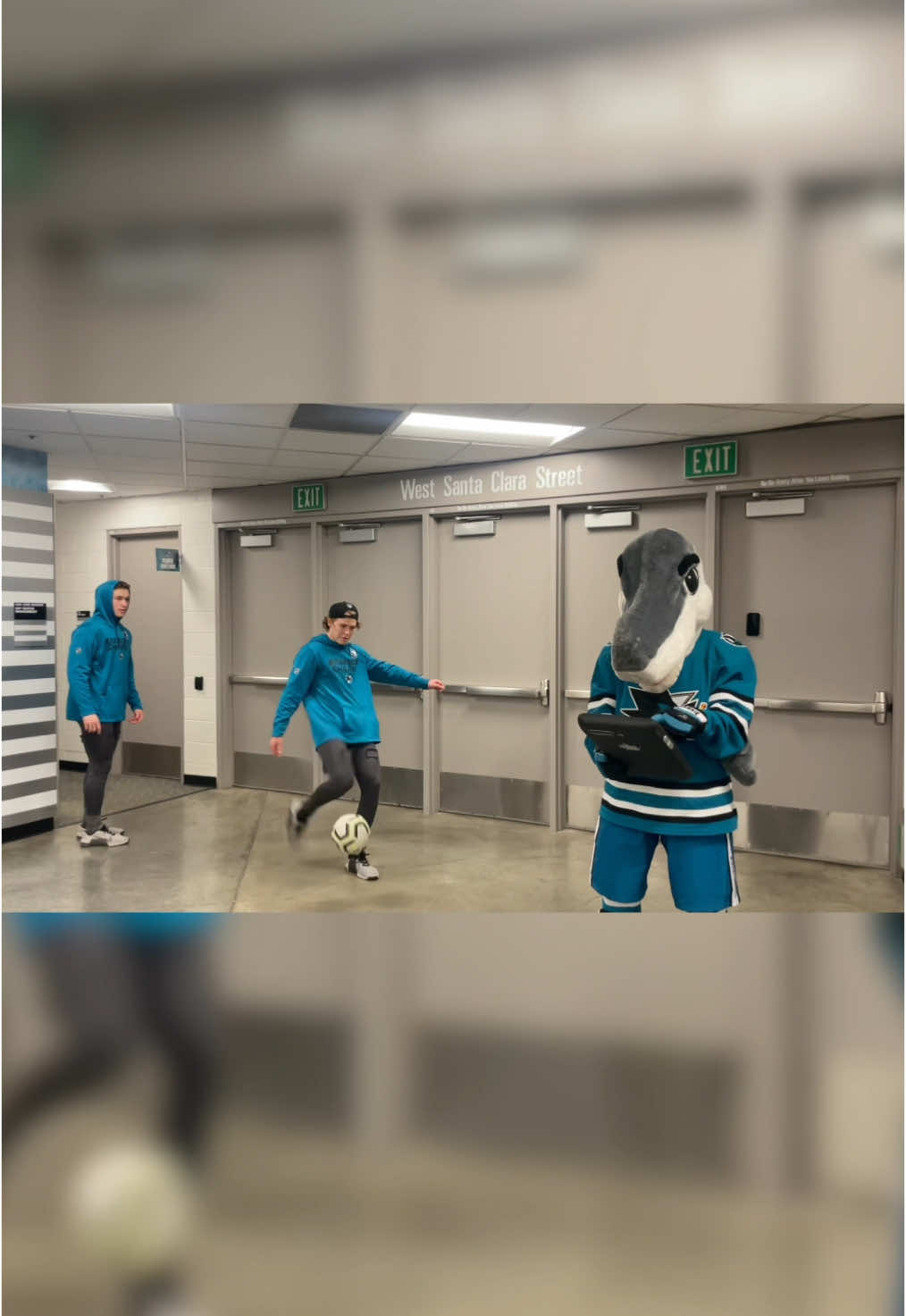 @SJ SHARKIE