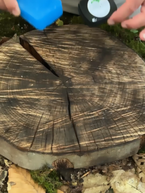 @Survival Skills TV