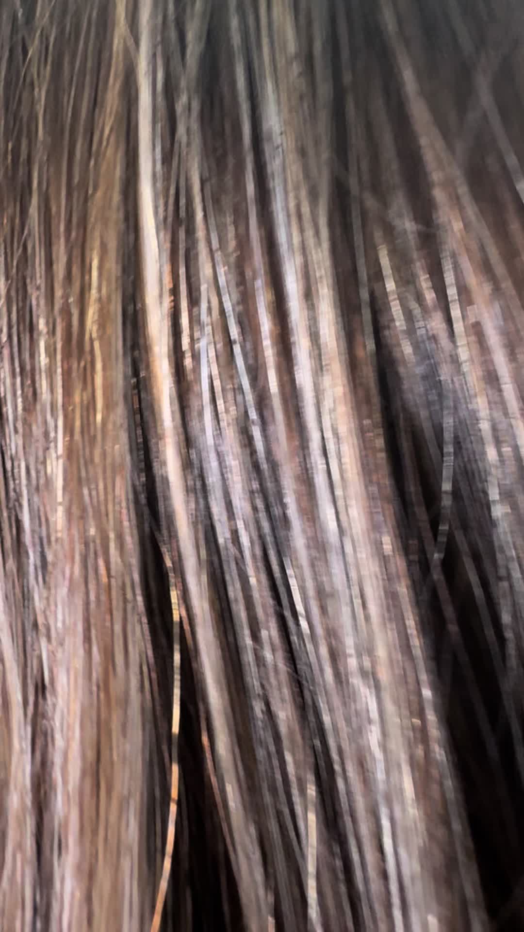 @WILD ROOTS HAIR CO.