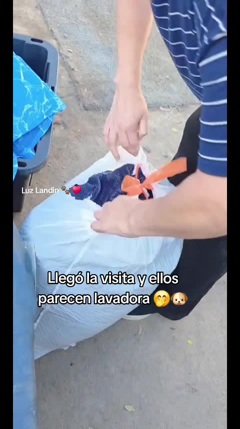@huellitas de amor 🐾❤️🩹🐶