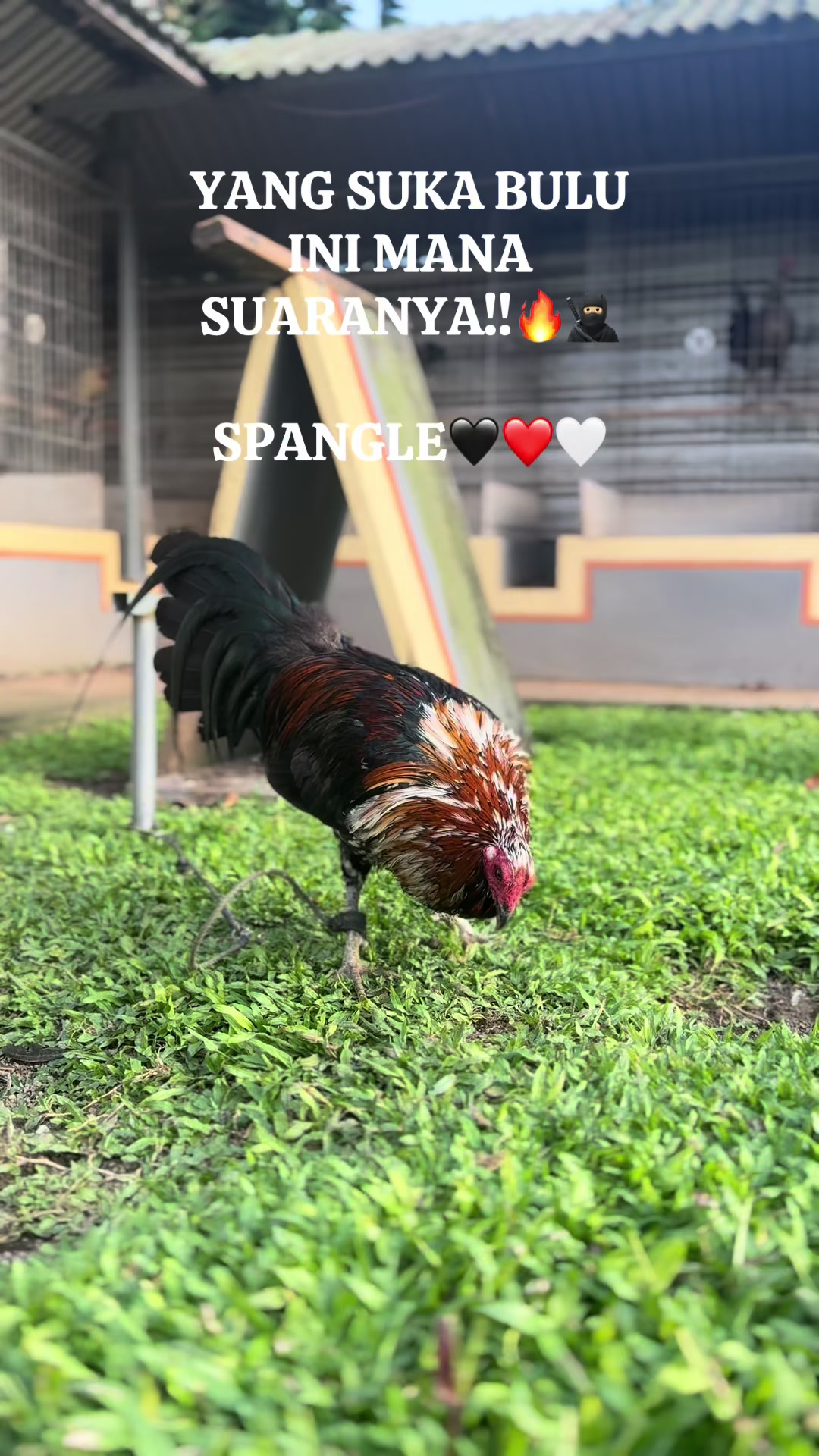 @RIAN FARM 1🇵🇭⭐️