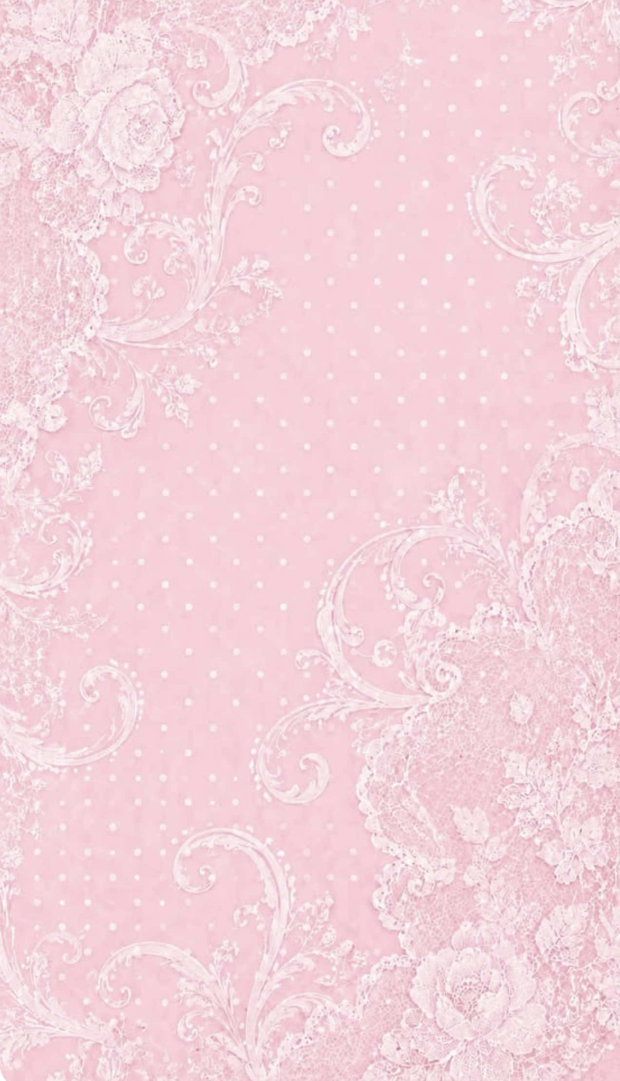 @౨ৎ Bria ౨ৎ