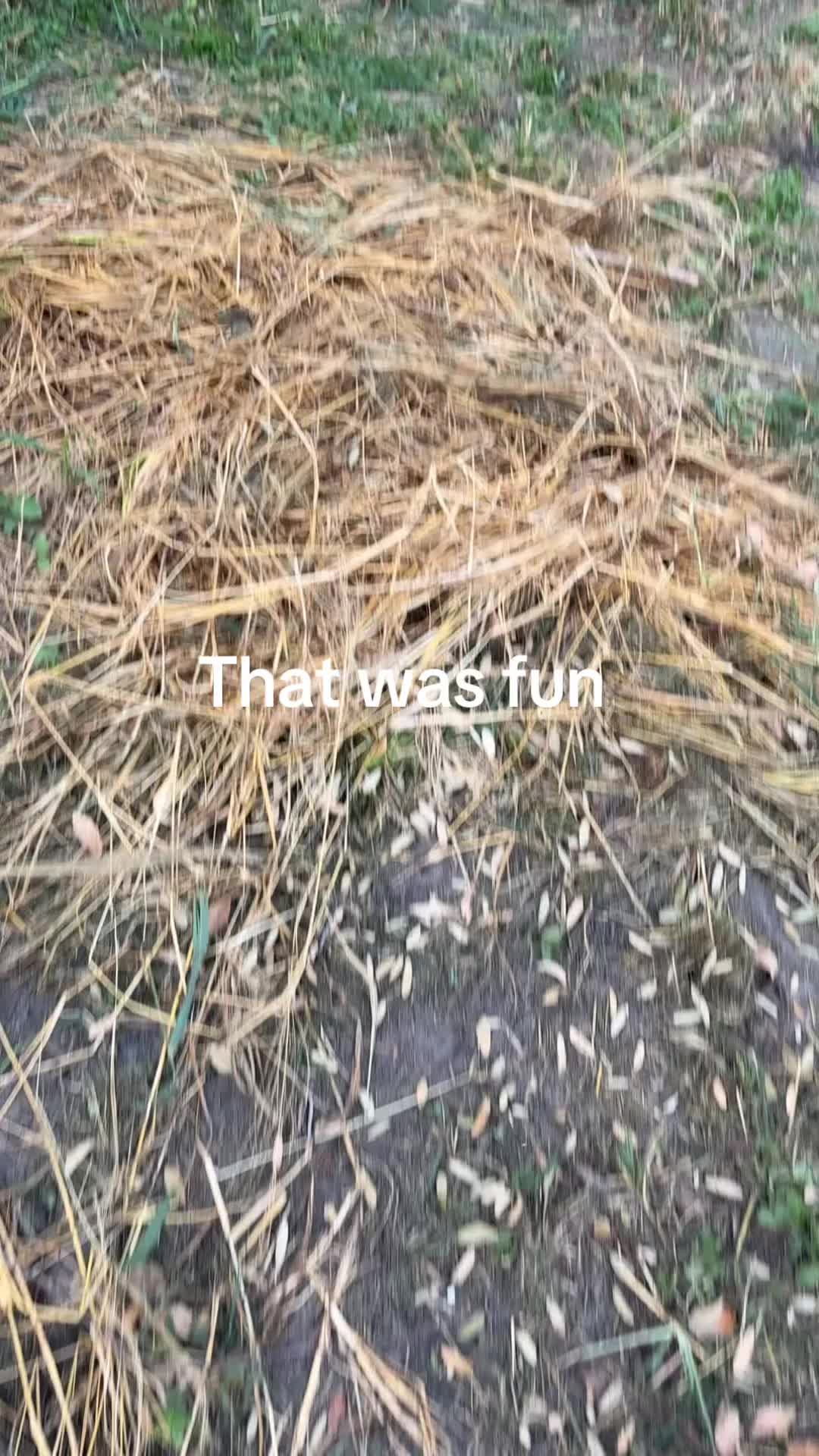 @Xavier Serrano