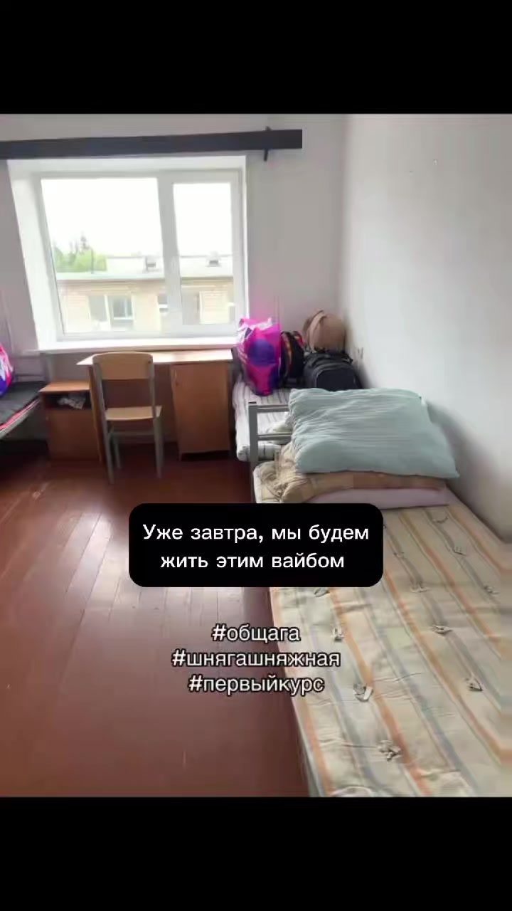 @🕸️×͜×🕸️