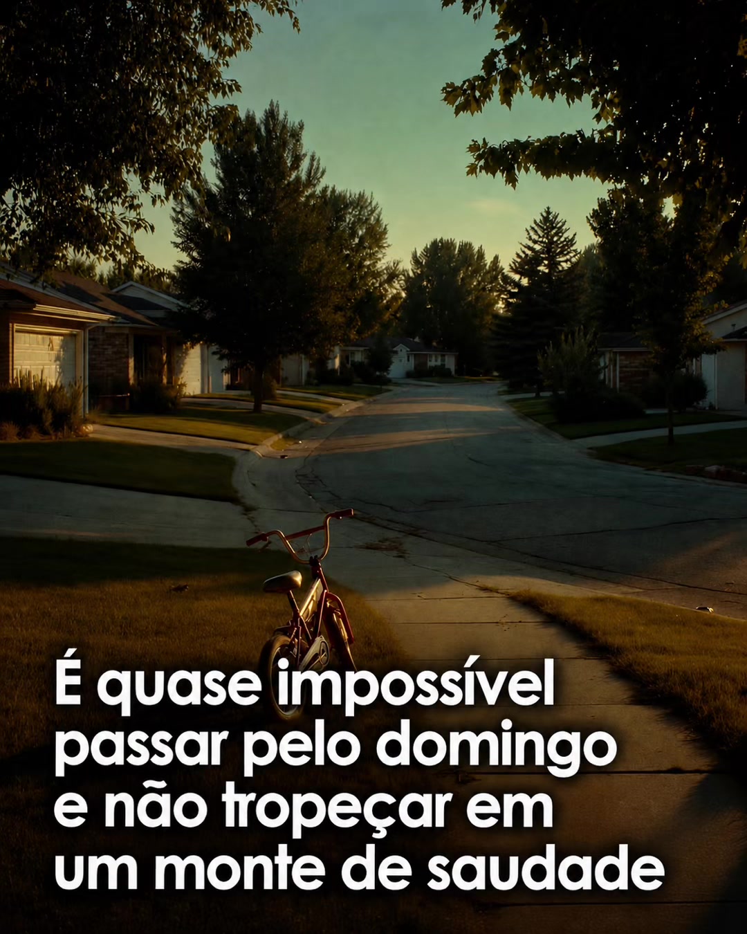 @MUNDO DOS PAGODEIROS