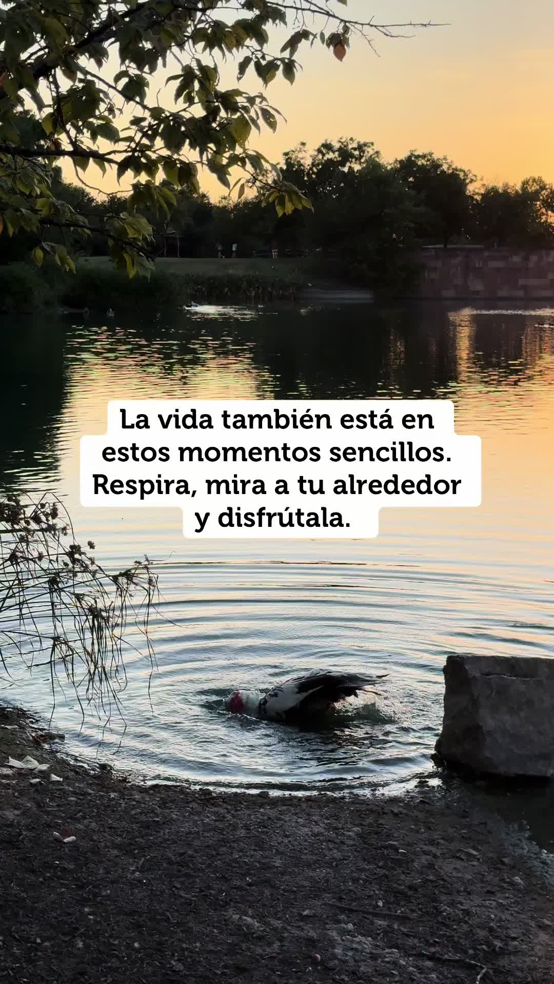 @KarenFindsit