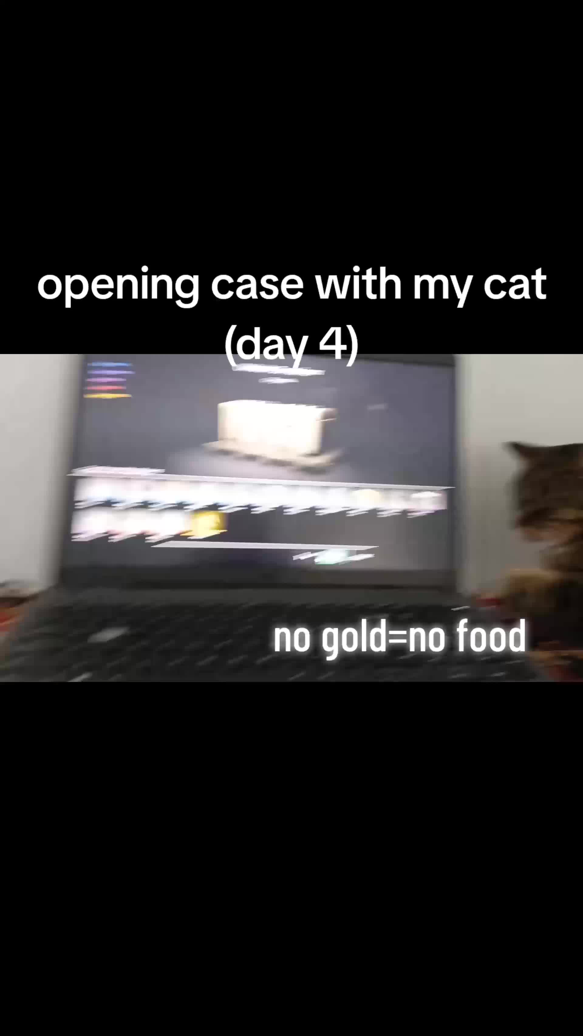 @wiertarkakontowabosch
