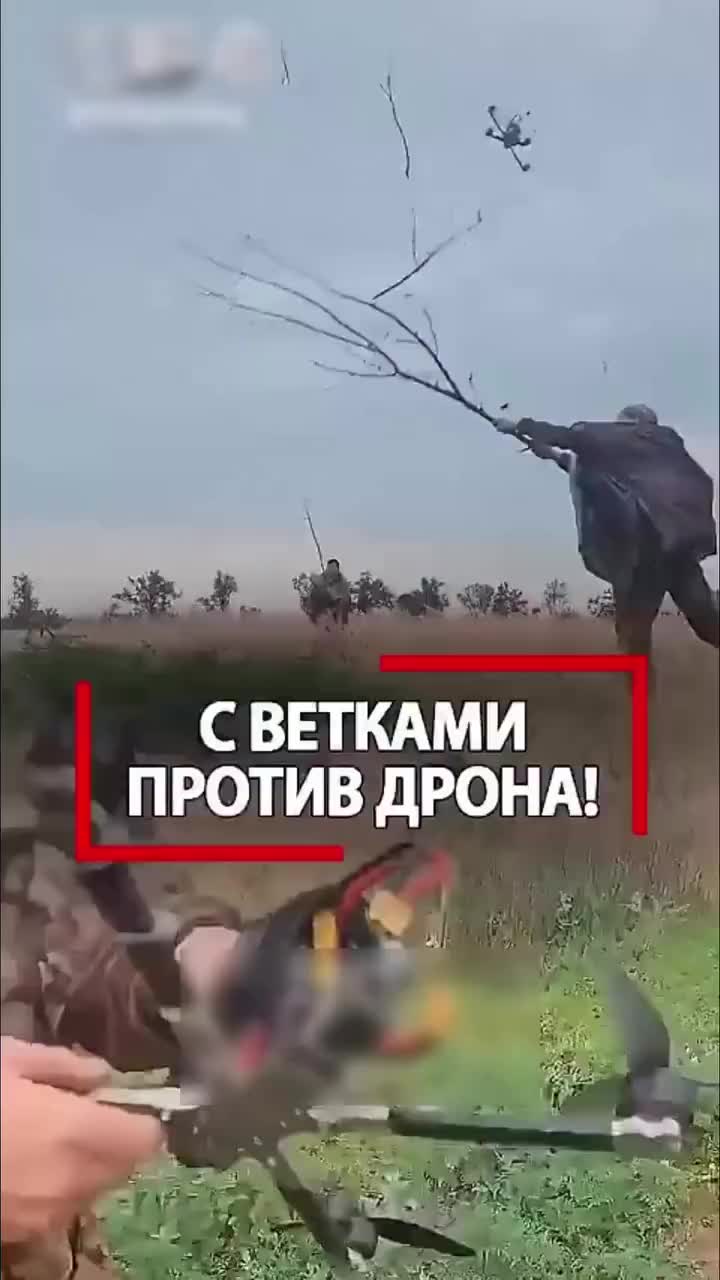 @alenaqweru