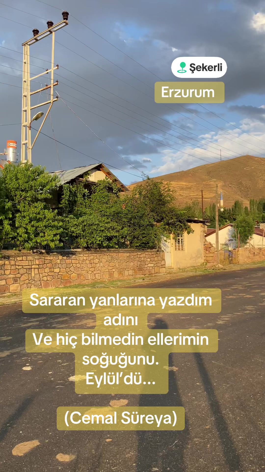 @🦅꧁𝓝𝓮𝓼𝓲𝓫𝓮꧂