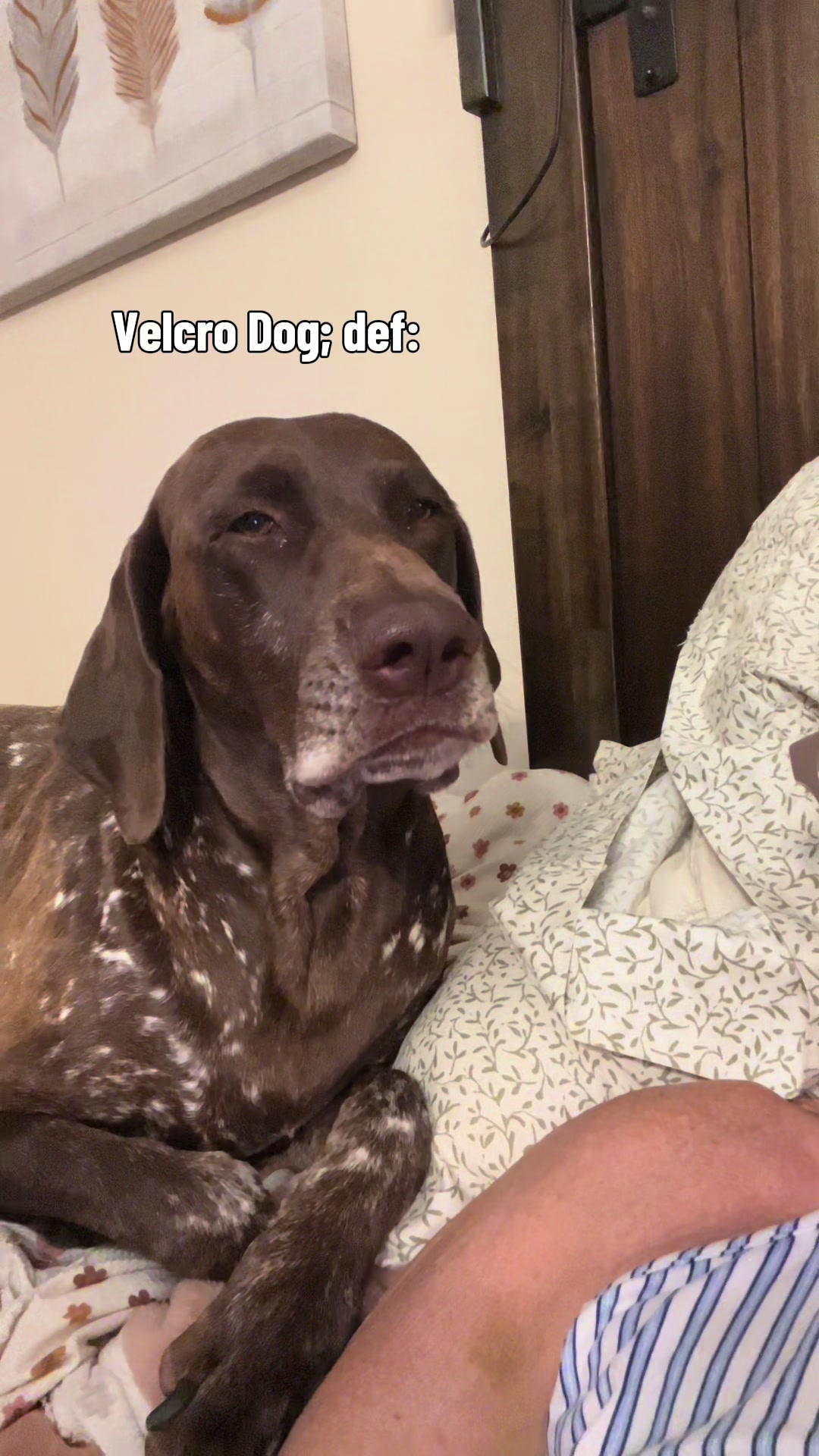 @alice_the_gsp