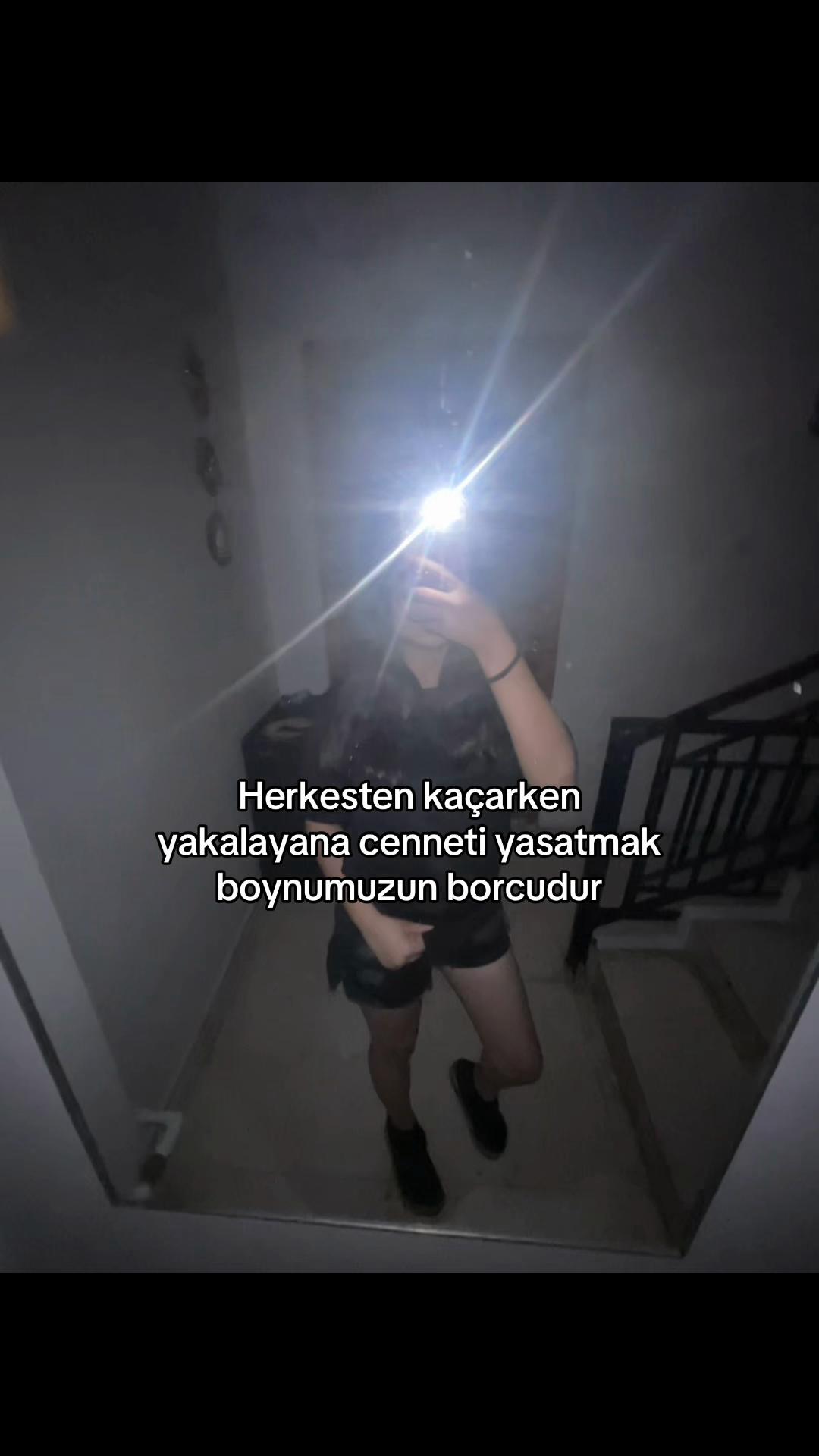 @🦭