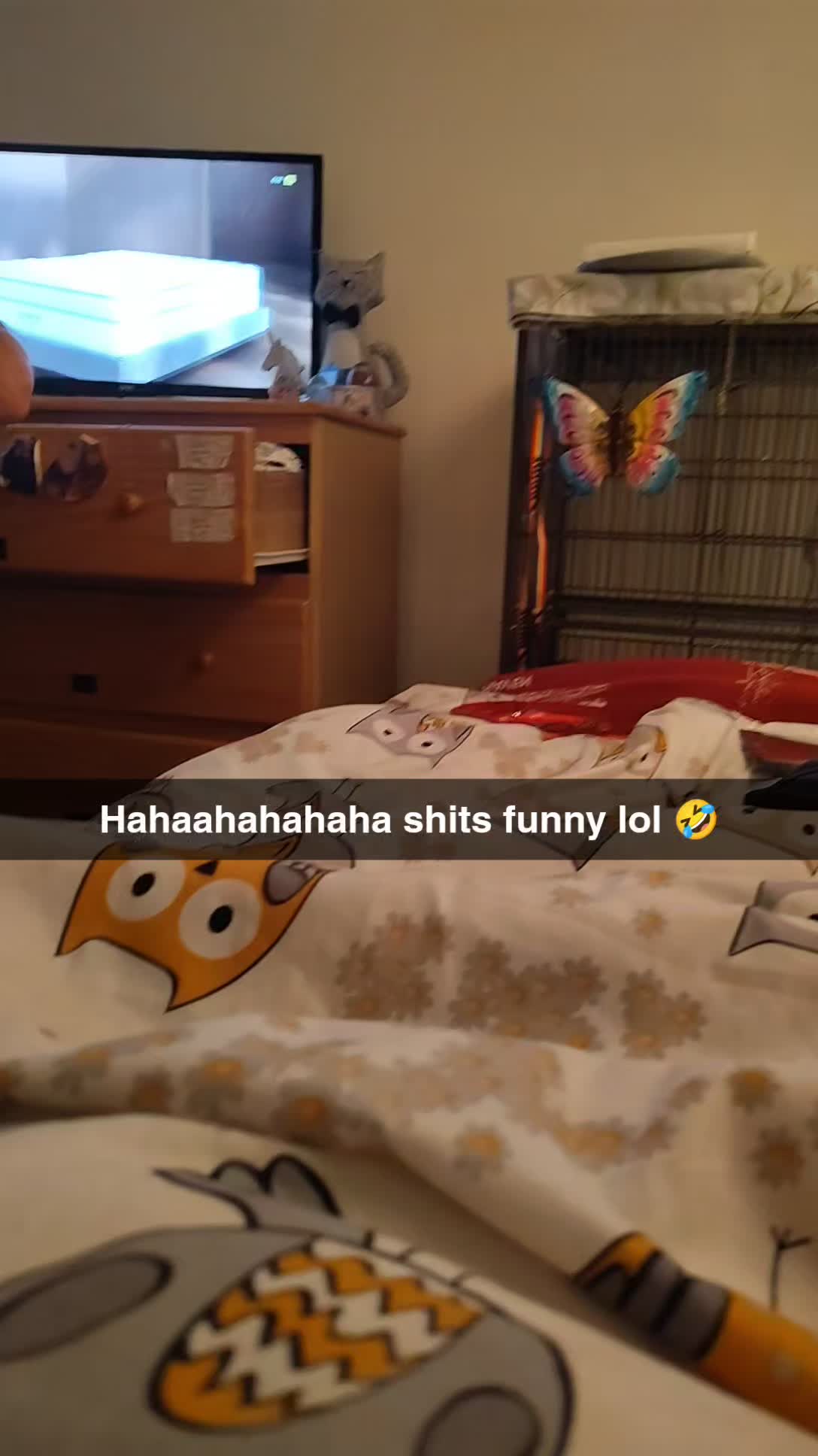@TheFeralRashy