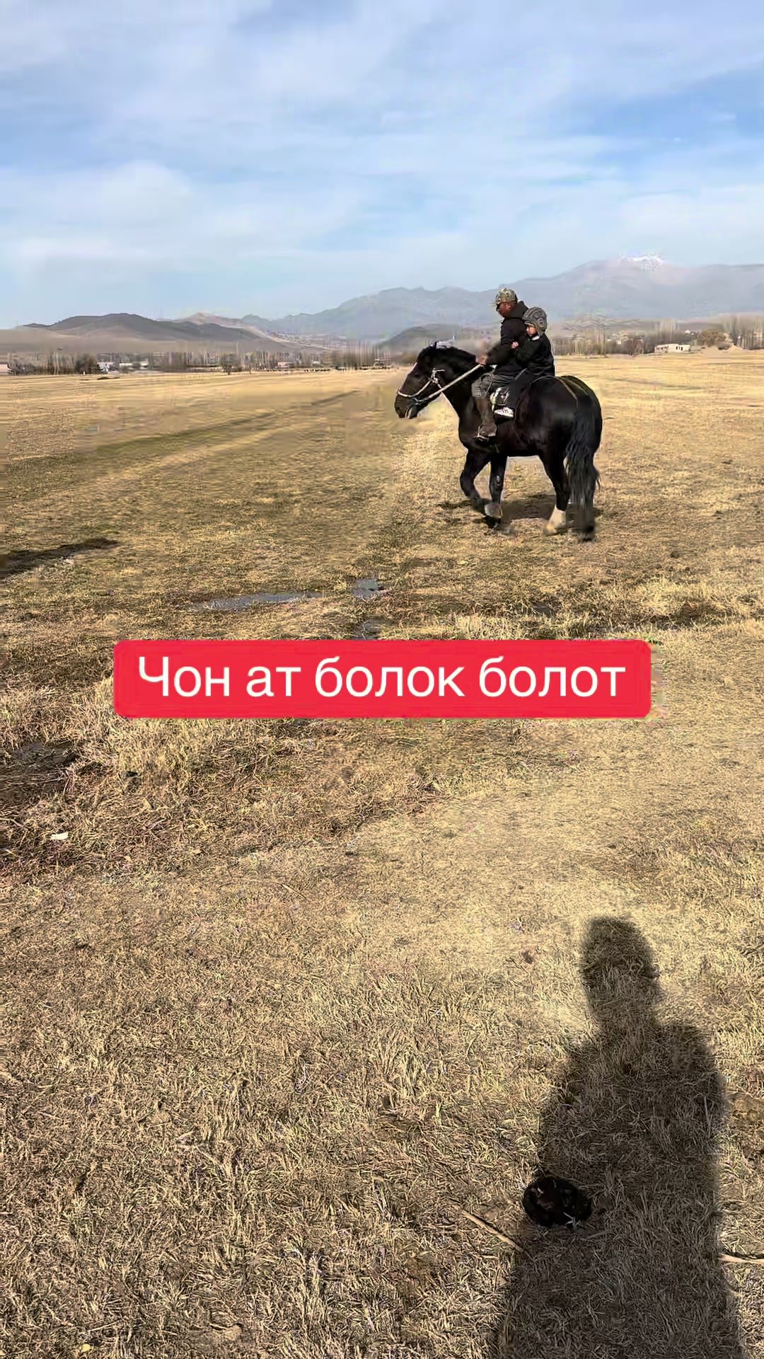 @Oskonbai Tajibaev