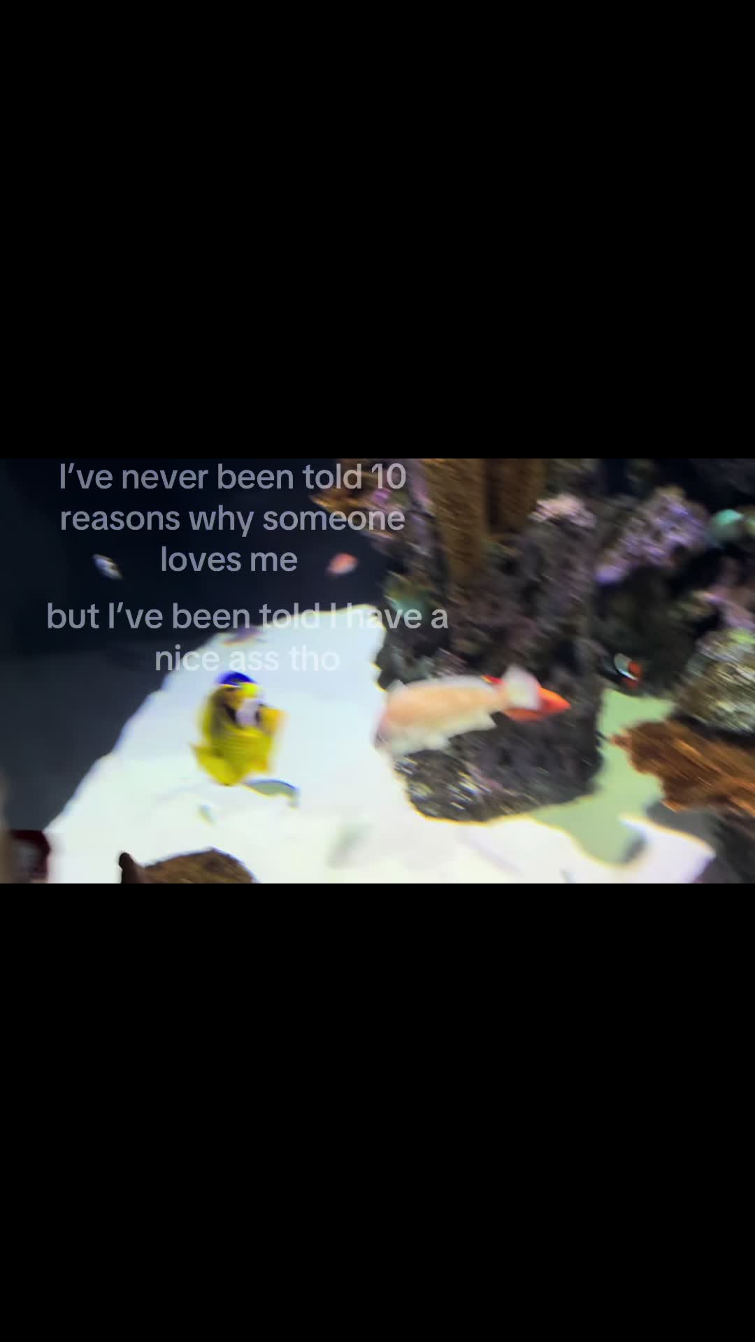 @🪷⊱ ۫ ׅ ✧𝐻𝒶𝒹𝓈⊱ ۫ ׅ ✧ 🪷