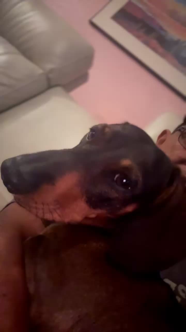 @ozzythedoxy