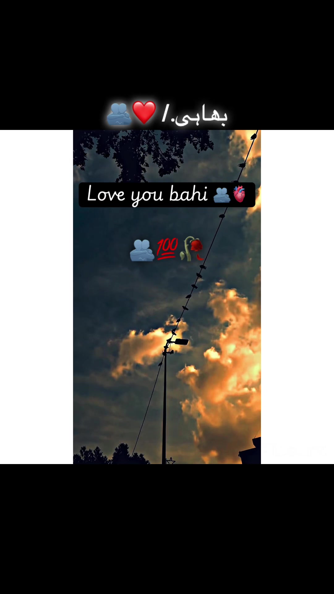 @صاحب 🍁🏴&zwj;☠️🚩