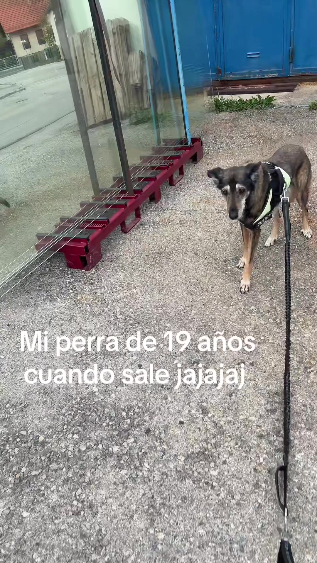 @Sonia🩷
