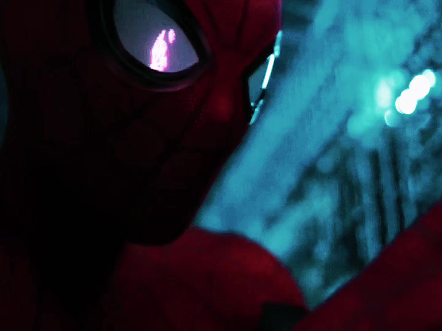 @𝐊𝐢𝐫𝐚 𝐄𝐯𝐞𝐥𝐲𝐧𝐧 🕷️
