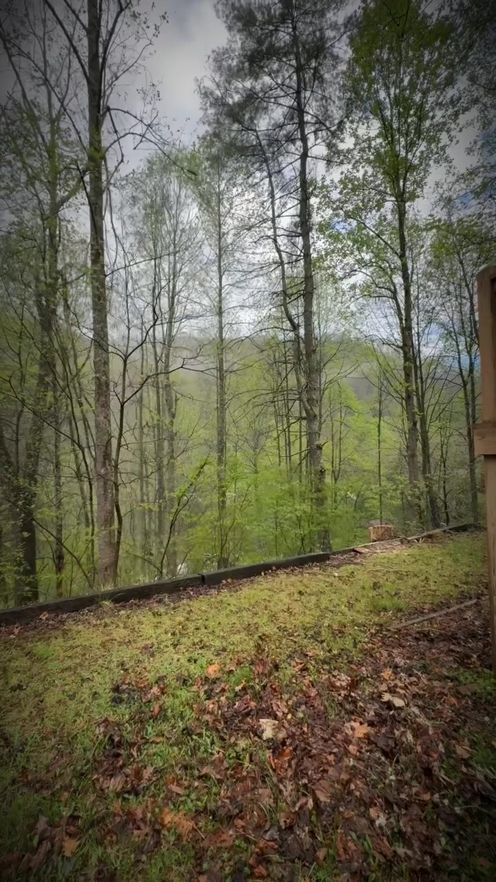 @RJ Snyder